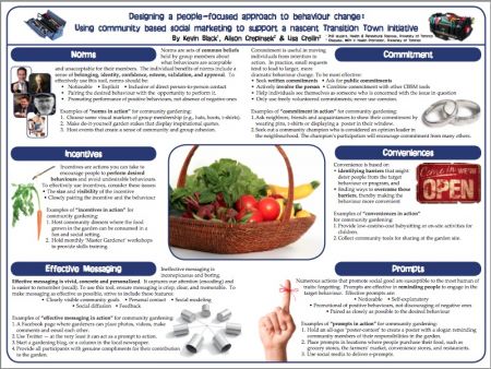 Designing a people-focused approach to behaviour change:  Using community based social marketing to support a nascent Transition Town initiative by  Kevin Black, Alison Crepinsek & Lisa Crellin