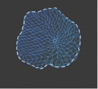 Figure+3%3A+Nae%E2%80%94a+traditional+Hawaiian+fishing+net%2C+credit%3A+Hana+Yoshihata+