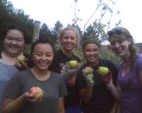 Figure+3.+Metropolitan+State+University+Students+Harvesting+Apples